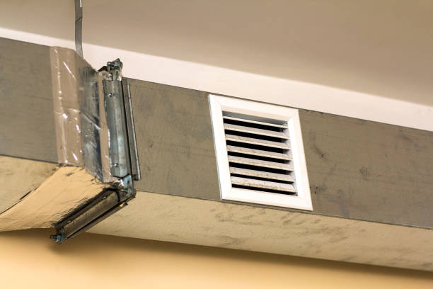 Best Home Air Vent Cleaning  in Ladysmith, WI